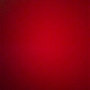 Meet your Posher, Bryana